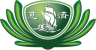 logo tzuchi